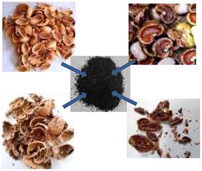 Nut Shells as Adsorbents of Pollutants: Research and Perspectives